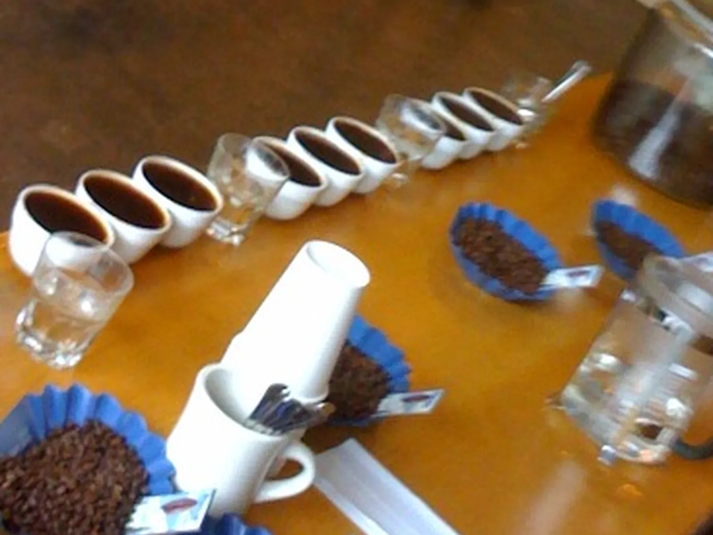 Roasted coffee beans in cupping trays beside tasting bowls on a wooden counter